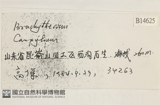 登錄號:B00014625藏品圖，第2張