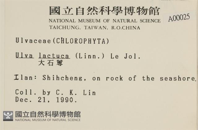 大石蓴, 石蓴藏品圖，第2張