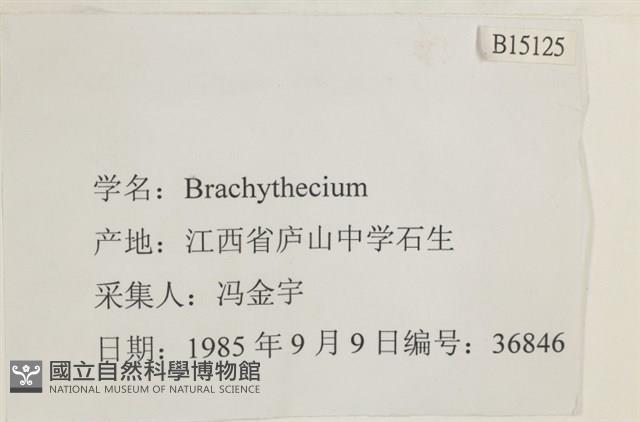 登錄號:B00015125藏品圖，第2張