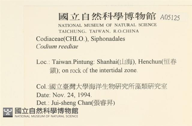 登錄號:A00005125藏品圖，第2張