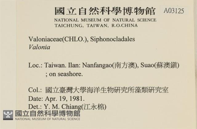 登錄號:A00003125藏品圖，第2張