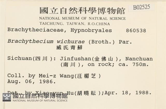 威氏青蘚藏品圖，第2張