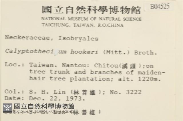 登錄號:B00004525藏品圖，第2張