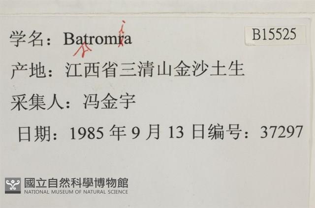 登錄號:B00015525藏品圖，第2張