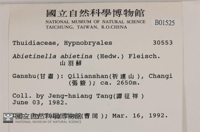 山羽蘚藏品圖，第2張