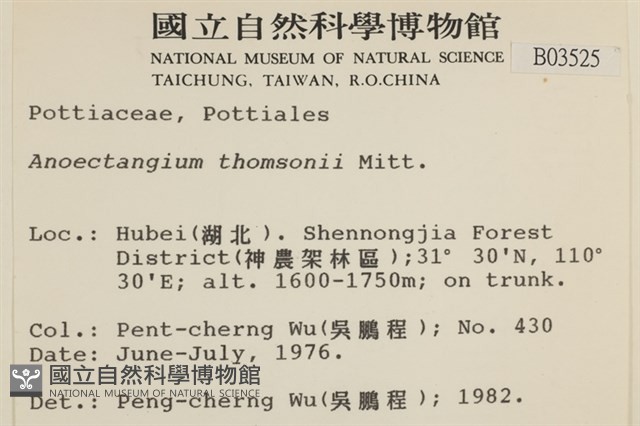 索氏叢本蘚藏品圖，第2張