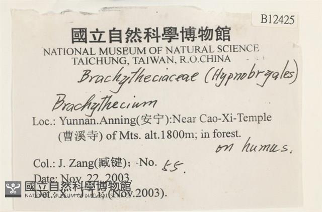 登錄號:B00012425藏品圖，第2張