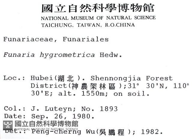 葫蘆蘚藏品圖，第2張