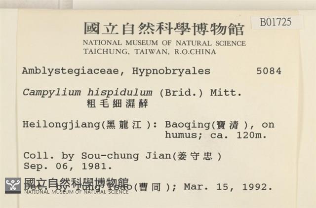 登錄號:B00001725藏品圖，第2張