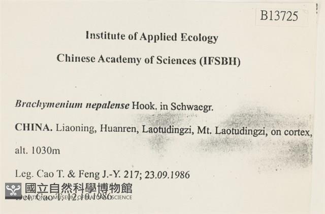 那霸短月蘚藏品圖，第2張