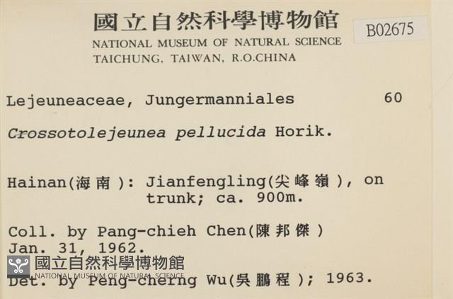 登錄號:B00002675藏品圖，第2張