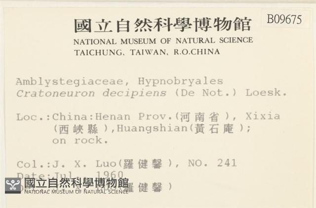 登錄號:B00009675藏品圖，第2張