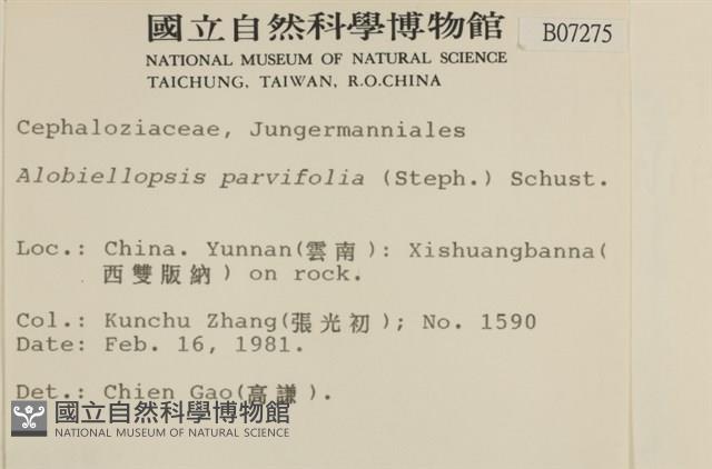 登錄號:B00007275藏品圖，第2張