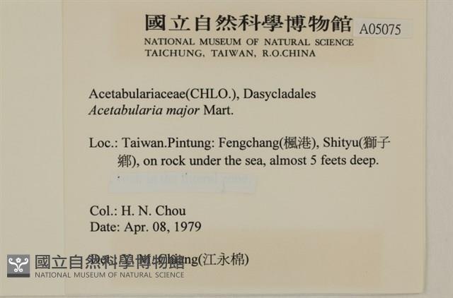 登錄號:A00005075藏品圖，第2張