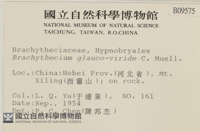 登錄號:B00009575藏品圖，第2張