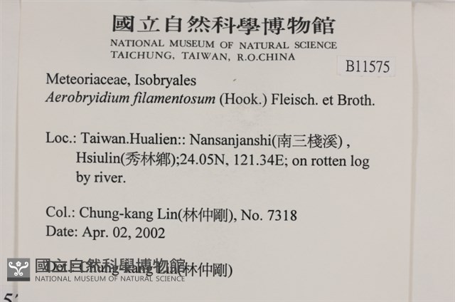 毛扭蘚藏品圖，第2張