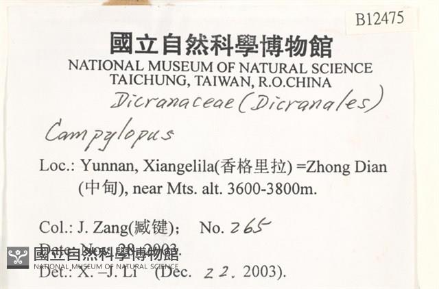 登錄號:B00012475藏品圖，第2張