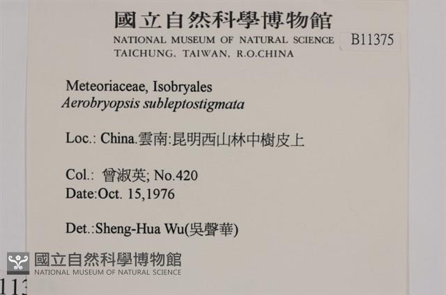 登錄號:B00011375藏品圖，第2張