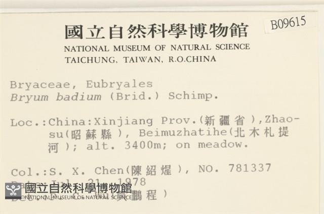 登錄號:B00009615藏品圖，第2張