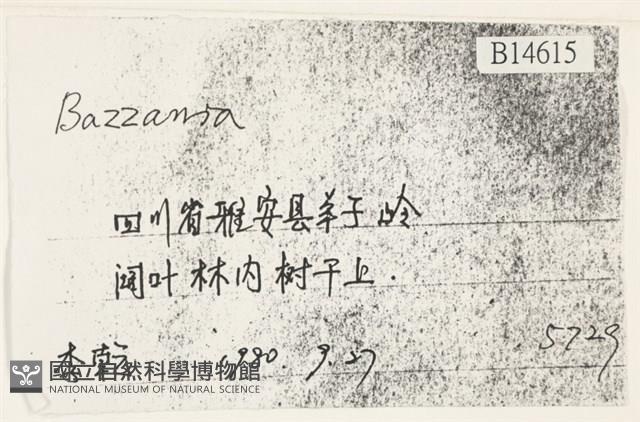 登錄號:B00014615藏品圖，第2張