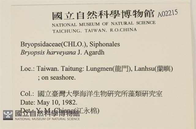 偏列羽藻藏品圖，第2張