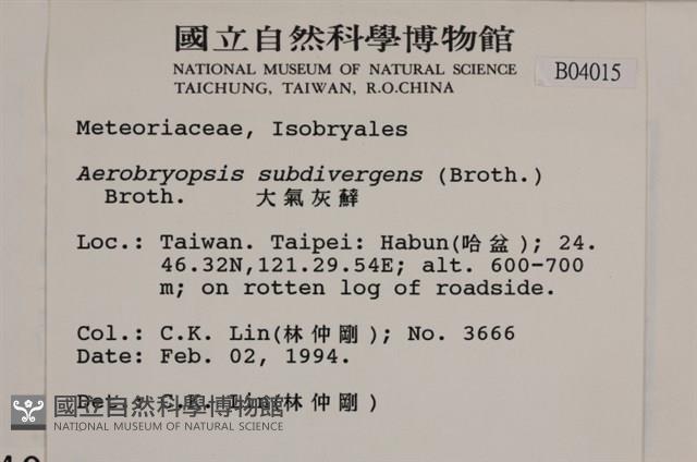 大灰氣蘚藏品圖，第2張