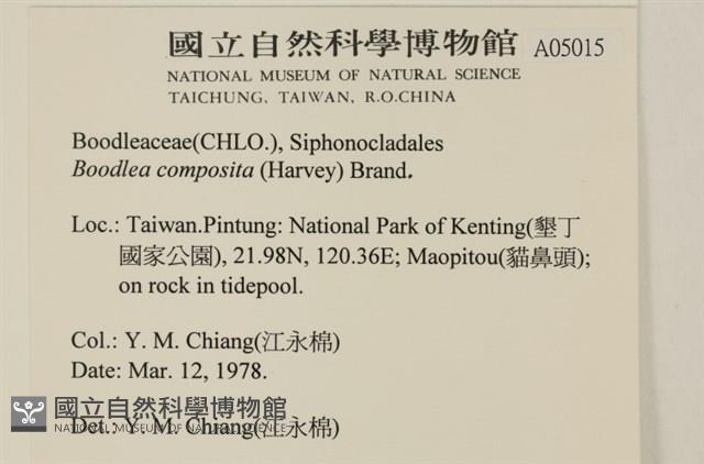 Accession Number:A00005015 Collection Image, Figure 2, Total 2 Figures