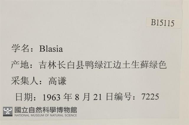 登錄號:B00015115藏品圖，第2張