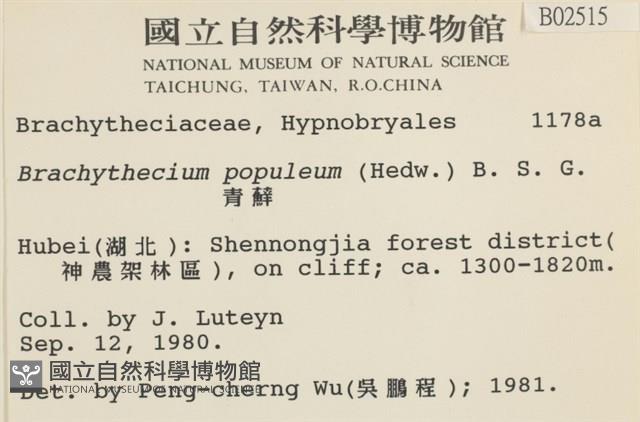 長肋青蘚藏品圖，第2張