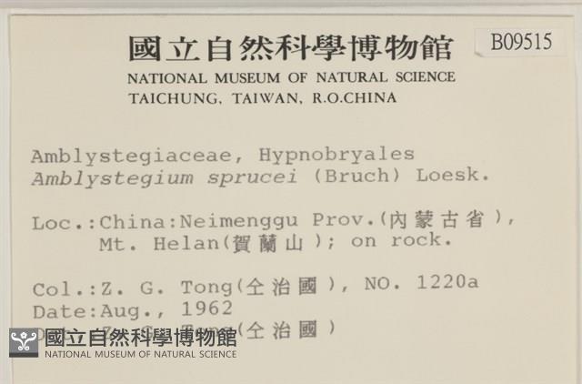 登錄號:B00009515藏品圖，第2張