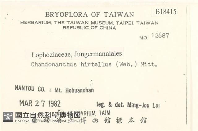 齒邊廣萼苔藏品圖，第2張
