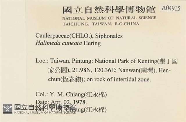 登錄號:A00004915藏品圖，第2張