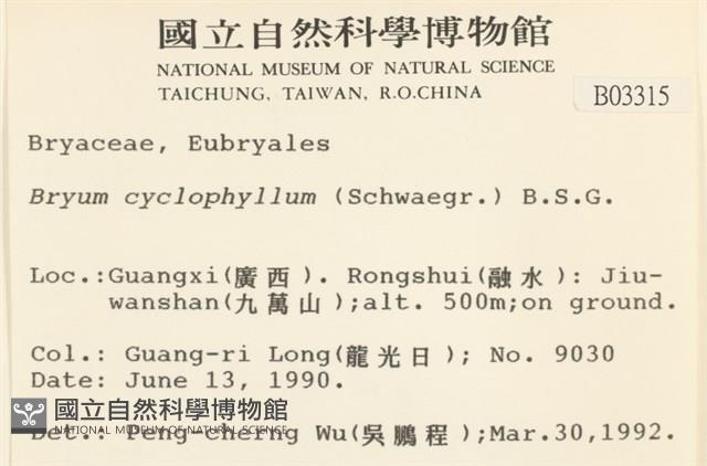 圓葉真蘚藏品圖，第2張