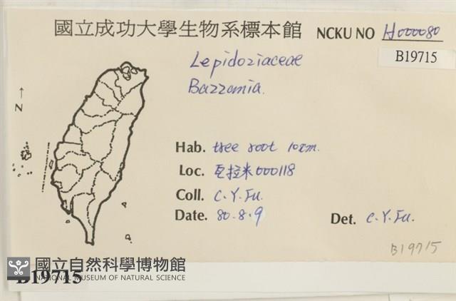 登錄號:B00019715藏品圖，第2張