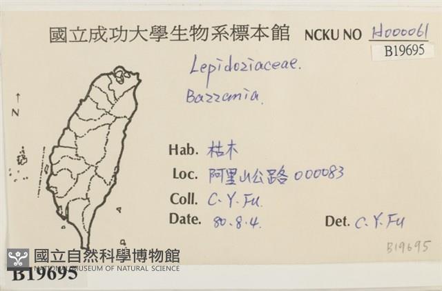 登錄號:B00019695藏品圖，第2張