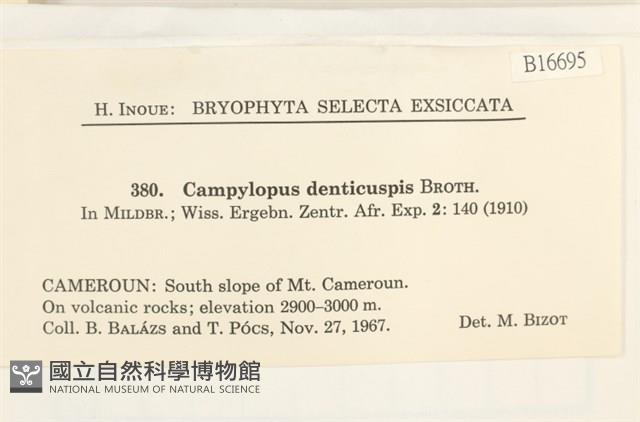 登錄號:B00016695藏品圖，第2張