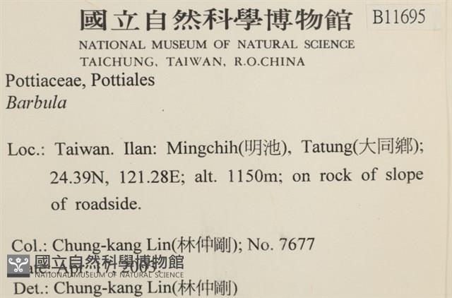 登錄號:B00011695藏品圖，第2張