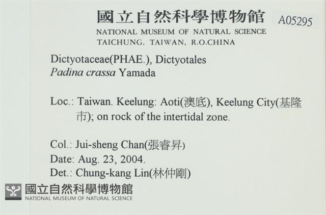 登錄號:A00005295藏品圖，第2張