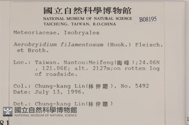 毛扭蘚藏品圖，第2張