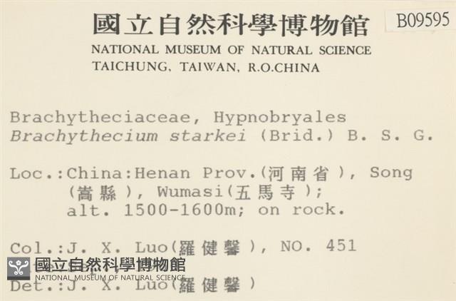 登錄號:B00009595藏品圖，第2張