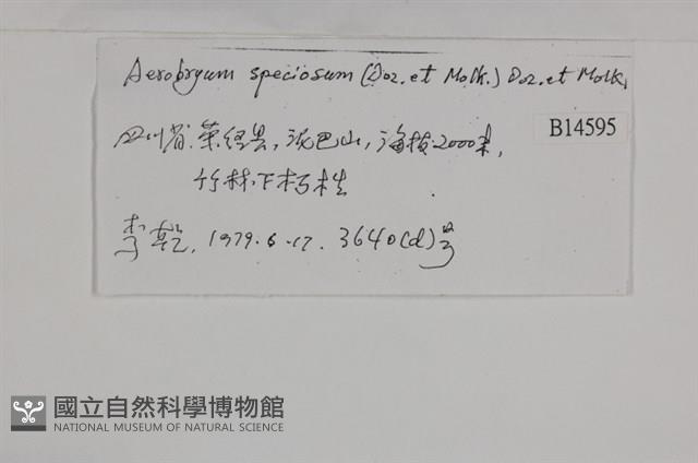 登錄號:B00014595藏品圖，第2張