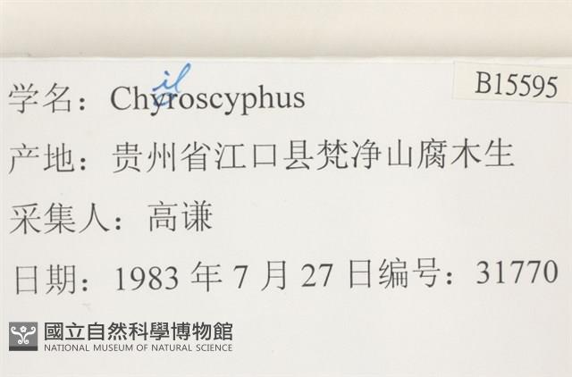 登錄號:B00015595藏品圖，第2張