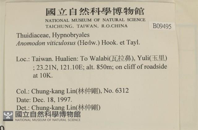 登錄號:B00009495藏品圖，第2張