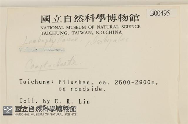 登錄號:B00000495藏品圖，第2張