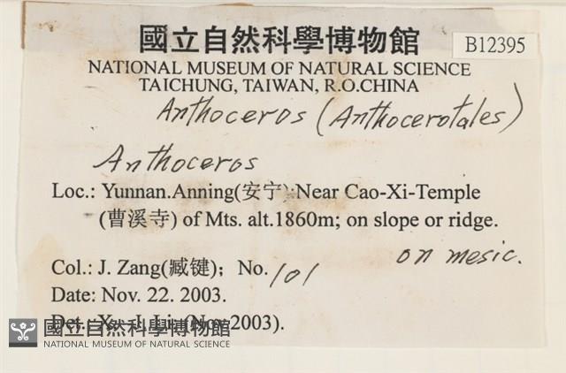 登錄號:B00012395藏品圖，第2張