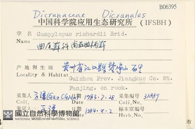 節莖曲柄蘚藏品圖，第2張