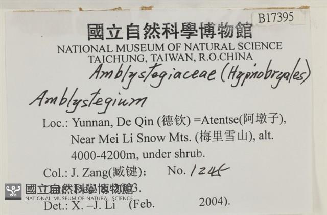 登錄號:B00017395藏品圖，第2張