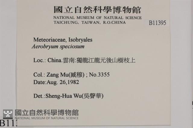 登錄號:B00011395藏品圖，第2張