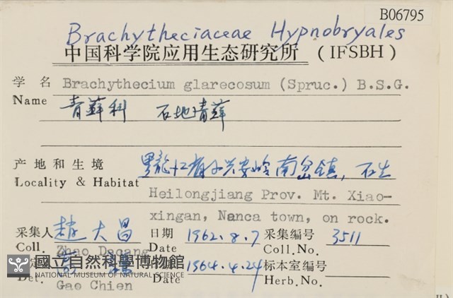 石地青蘚藏品圖，第2張