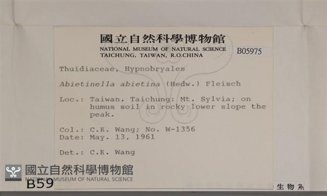 登錄號:B00005795藏品圖，第2張